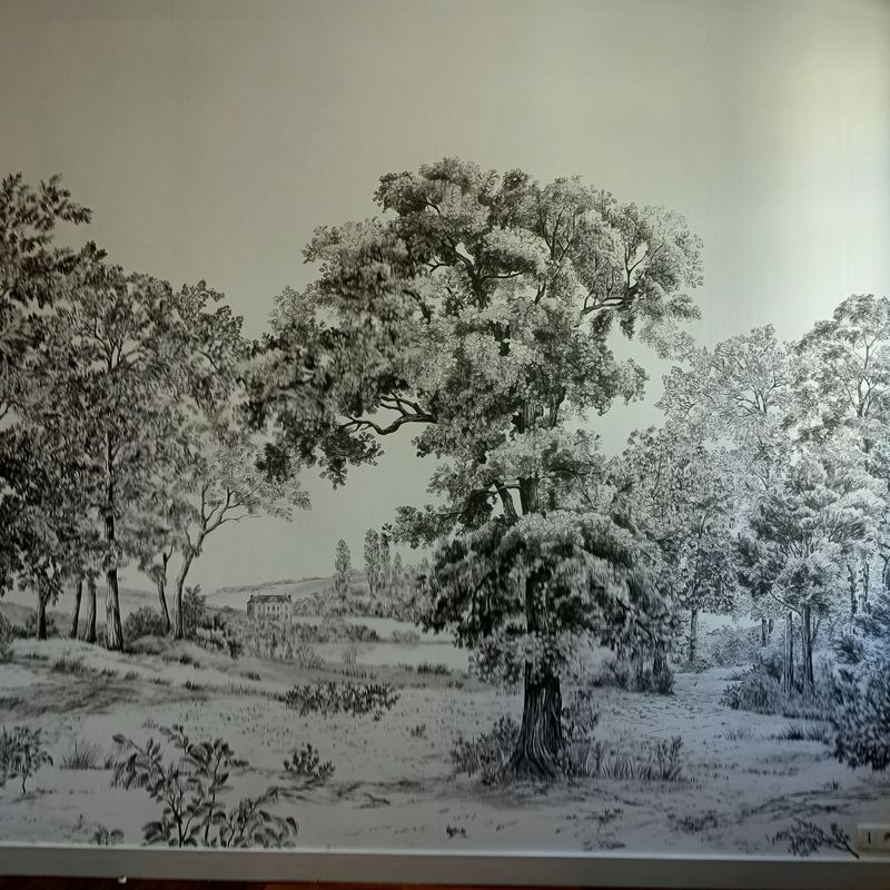 Photo 0