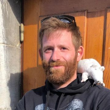 Photo entreprise Julien Destruction Nuisibles