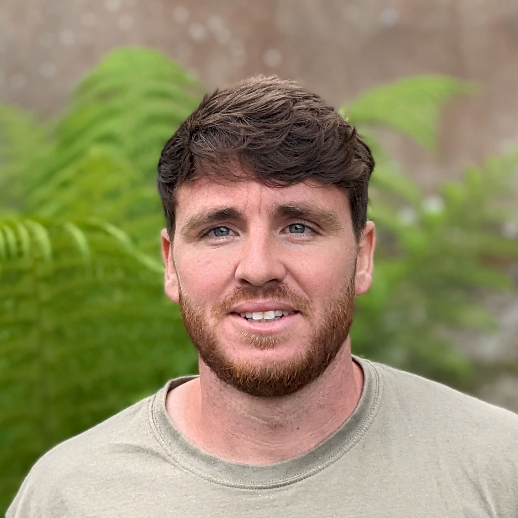 Entreprise A L'OMBRE DES PLATANES