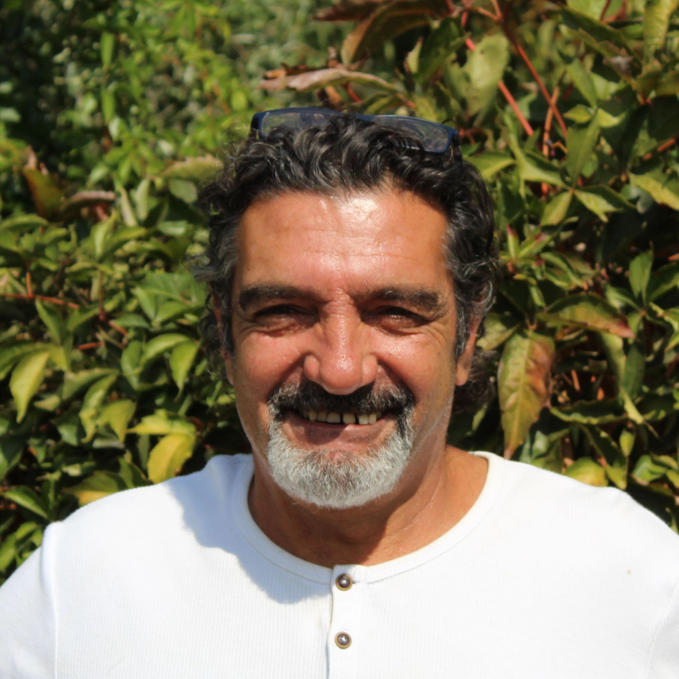 Entreprise Pro Rénov