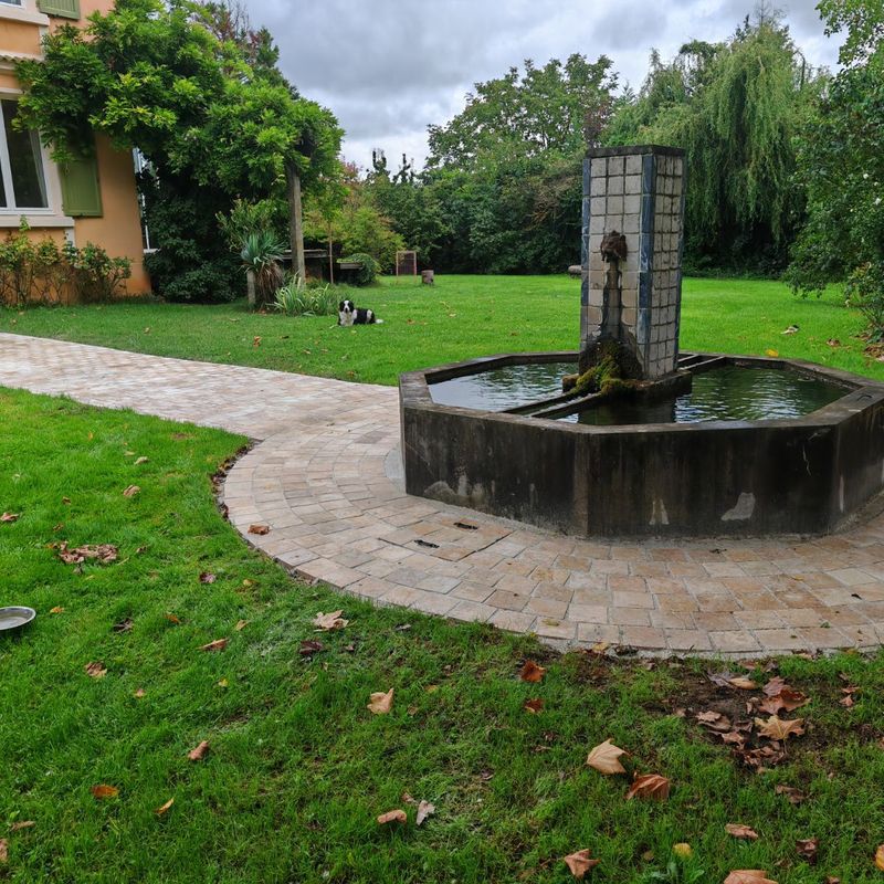 Photo 8