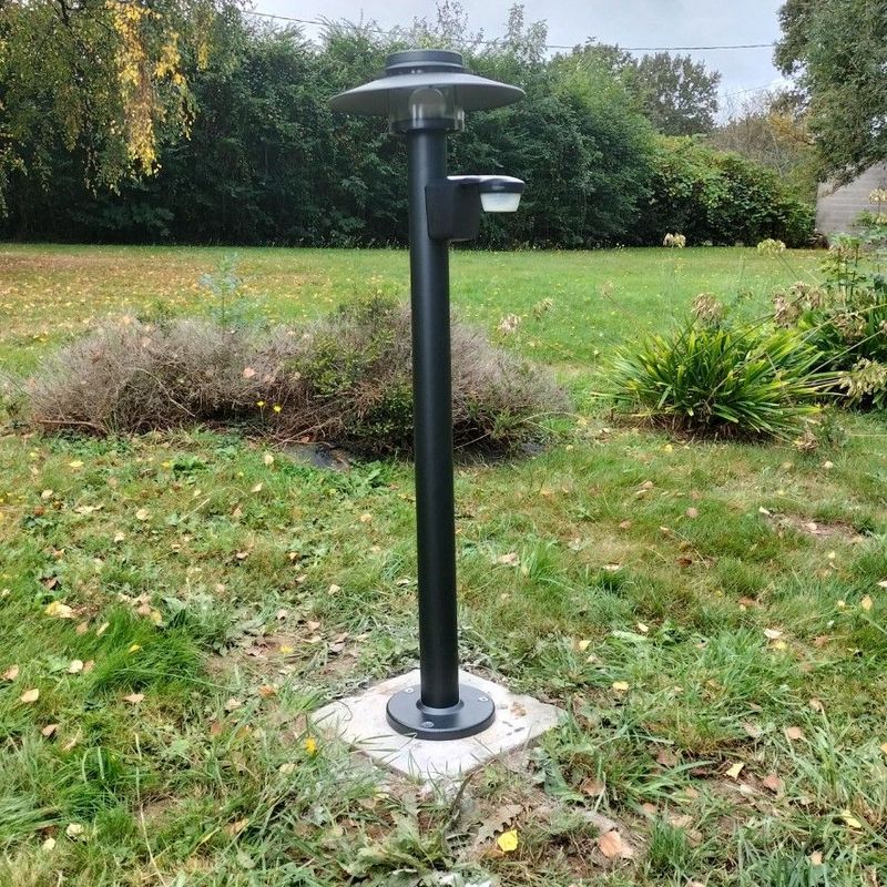 Photo 5